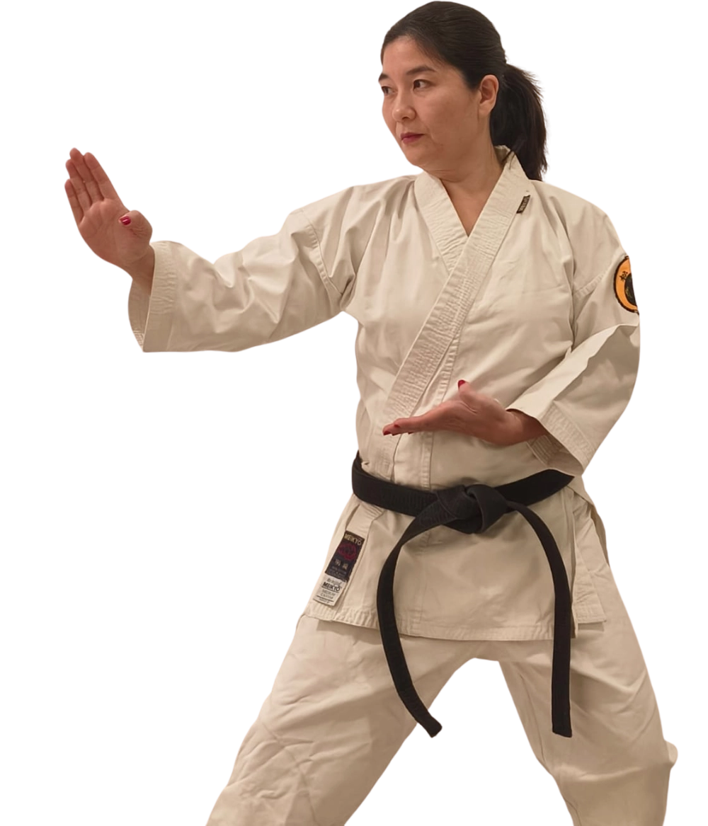 Ronaldo Venancio Jiu-jitsu